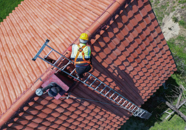 Best Gutter Installation and Repair  in Walnut, IL